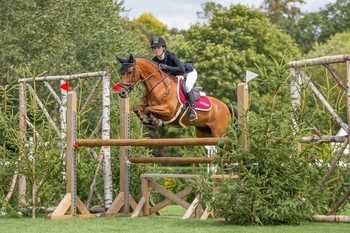 Ultimate Playboy takes fourth Hickstead victory